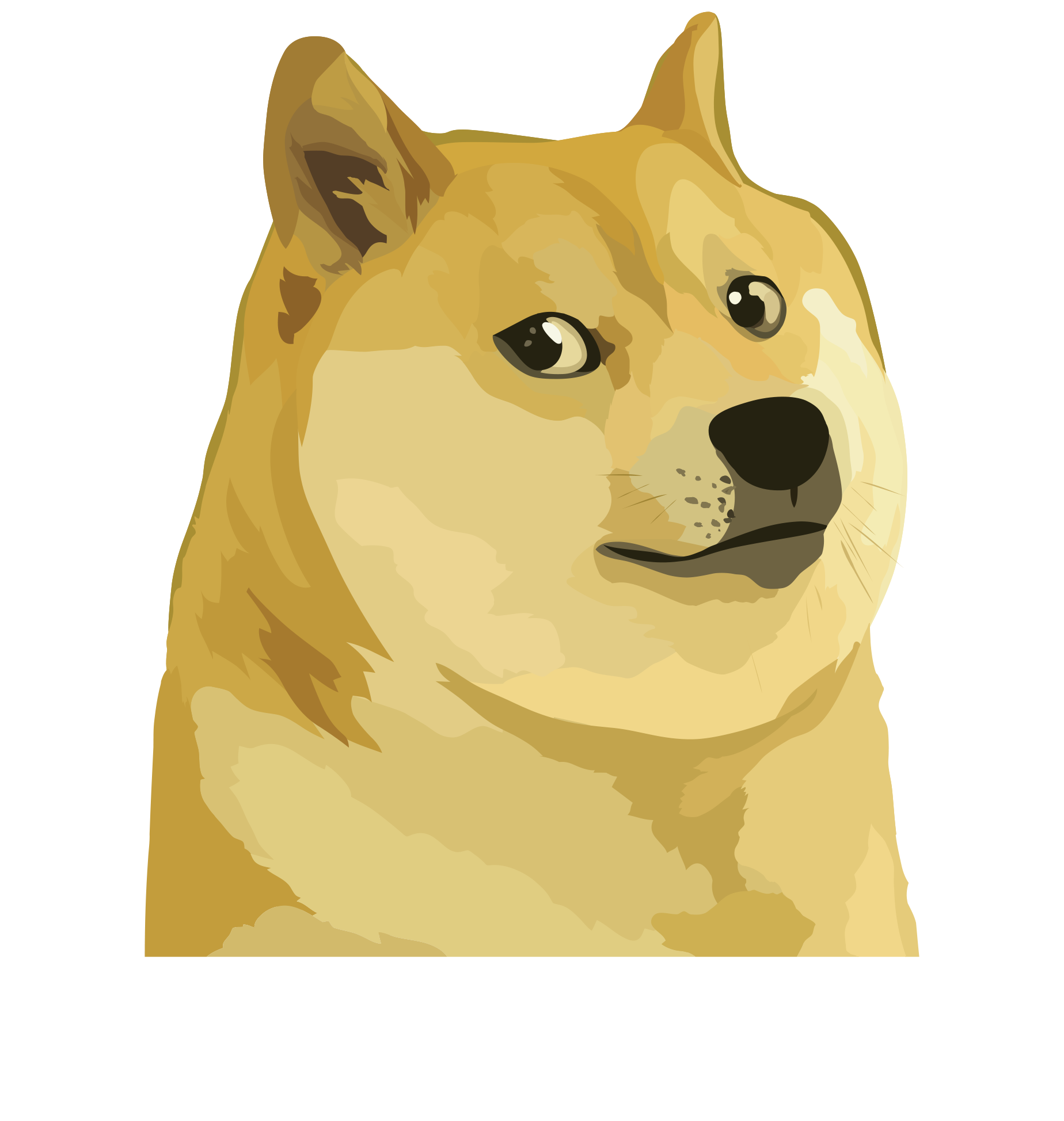 MON DOGECOIN